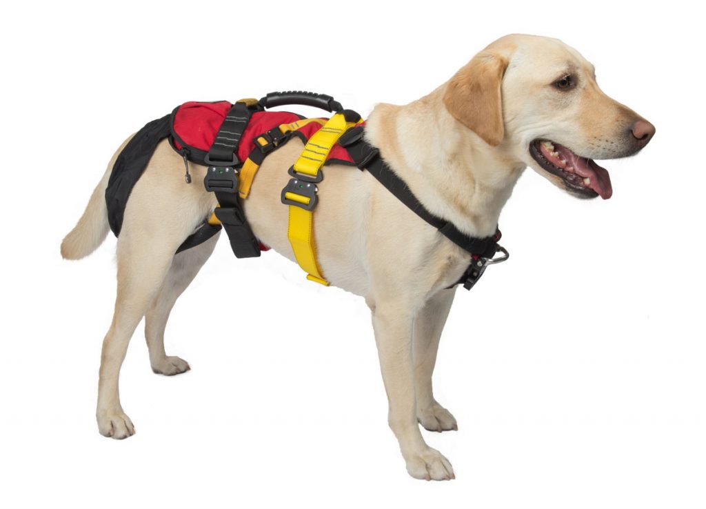 K9 Lifesaver Harness™ CMC PRO