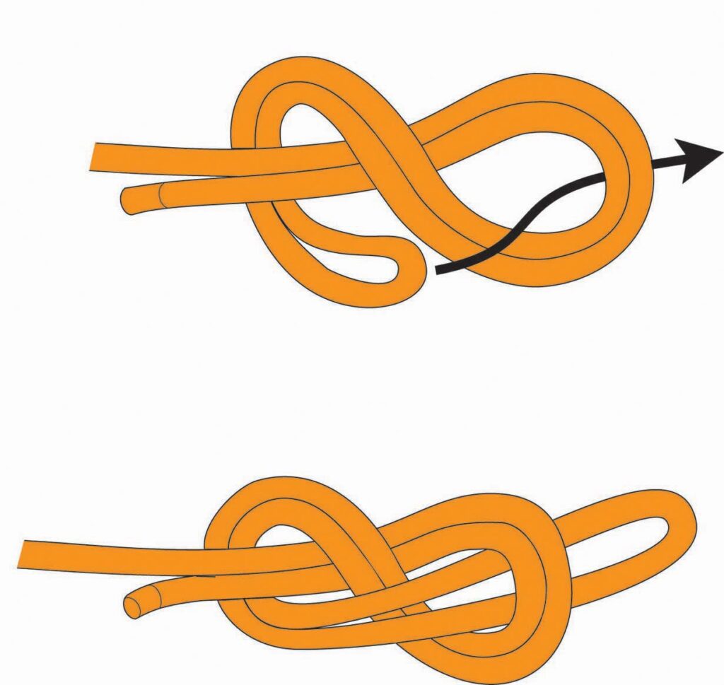 Learn How to Tie a Figure 8 on a Bight