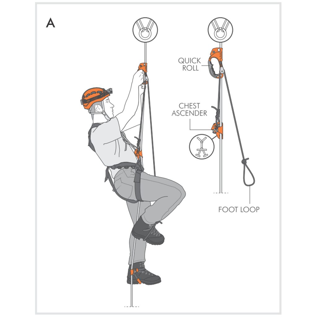 Quick Roll Ascenders