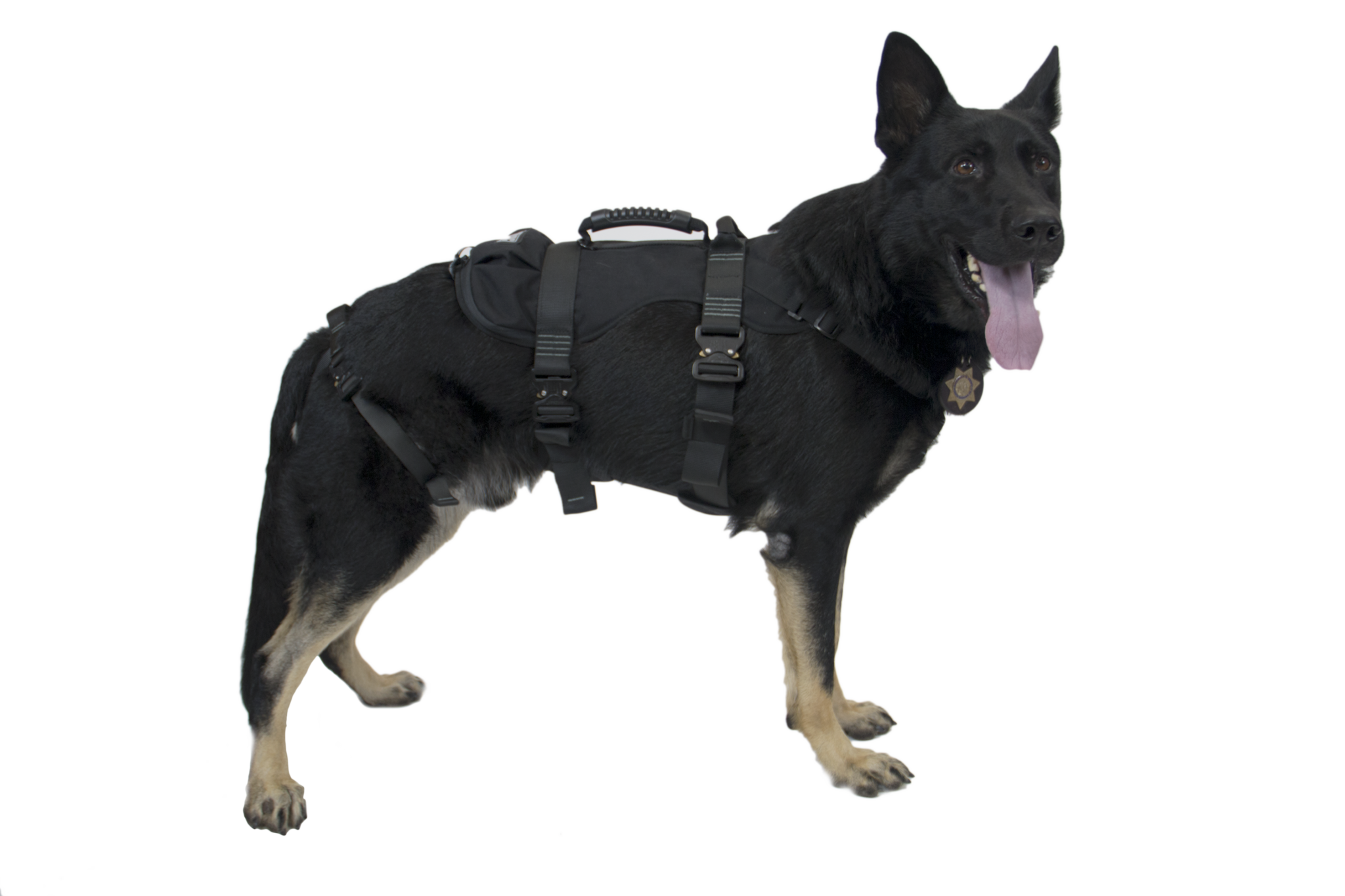 K9 ProSeries Rappel Harness for Dog Tactical Rescue CMC PRO
